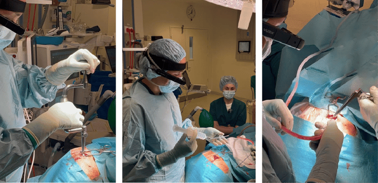 OO Greenland Case-04