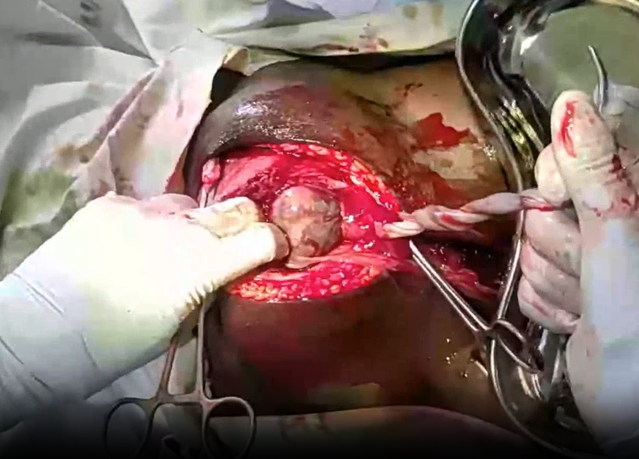 Screenshot 2025-10-14 at 1.45.12 PM