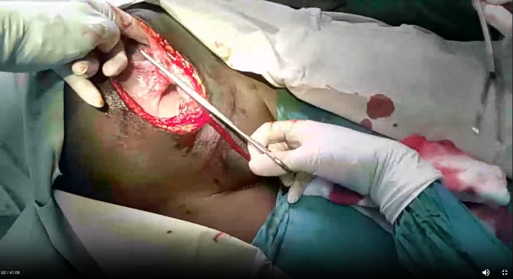 Screenshot 2025-10-24 at 3.34.50 PM